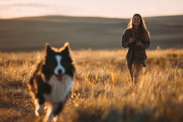 Best Dog Training Collars of 2026: E-Collar vs Prong vs Martingale