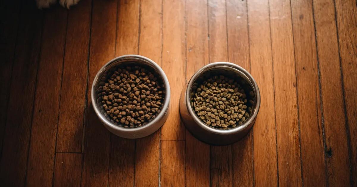 Orijen vs Acana: Is the Premium Price Difference Worth It?