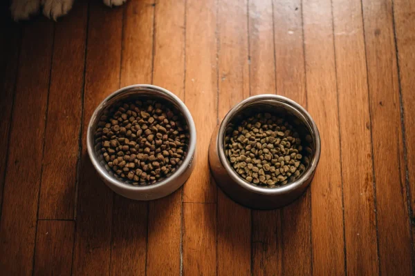 Orijen vs Acana: Is the Premium Price Difference Worth It?