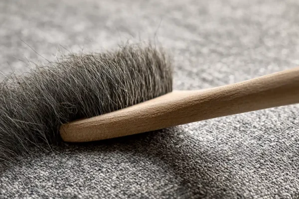 Best Pet Hair Removers for Furniture & Clothes 2026