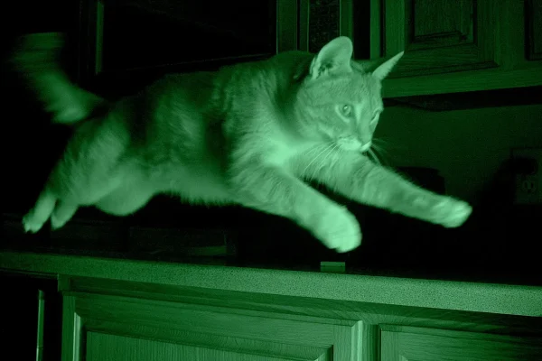 Best Indoor Pet Cameras with Night Vision 2026 (Ranked)