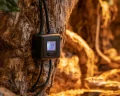 Best Thermostats for Ball Pythons 2026: Precise Temp Control